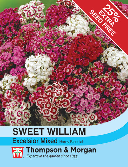 Sweet William Excelsior Mixed