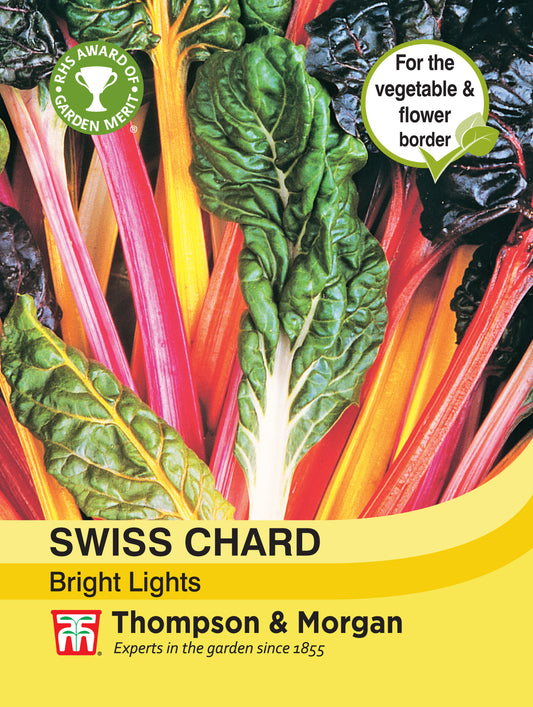 Swiss Chard Bright Lights