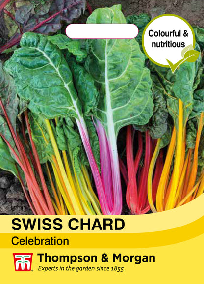 Swiss Chard Celebration