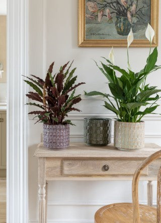 Tarah Textured Ivory Glaze Planter H17cm D18cm