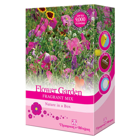 Flower Garden Fragrant Mix-Easy Garden Centre