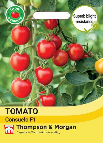 Tomato Consuelo (Crimson Cherry)