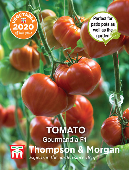 Tomato Gourmandia F1 Hybrid