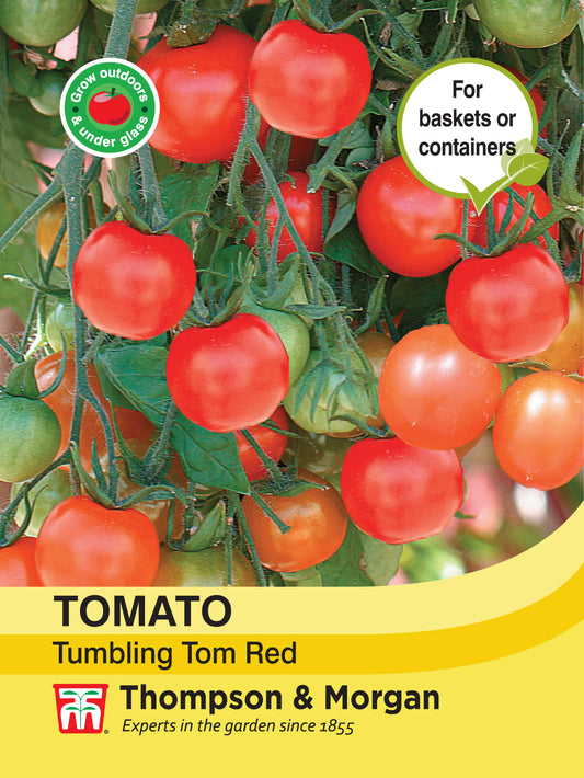 Tomato Tumbling Tom Red