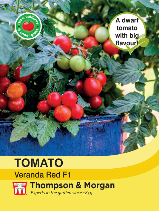 Tomato Veranda Red