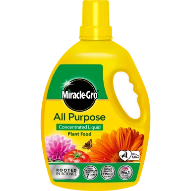 Miracle-Gro All Purpose Conc Liquid Plant Food 2.5Lt