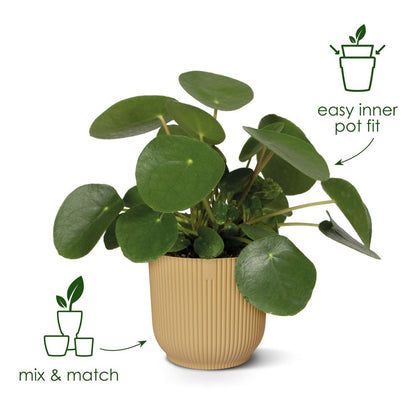 Vibes Fold Round 14cm, Yellow