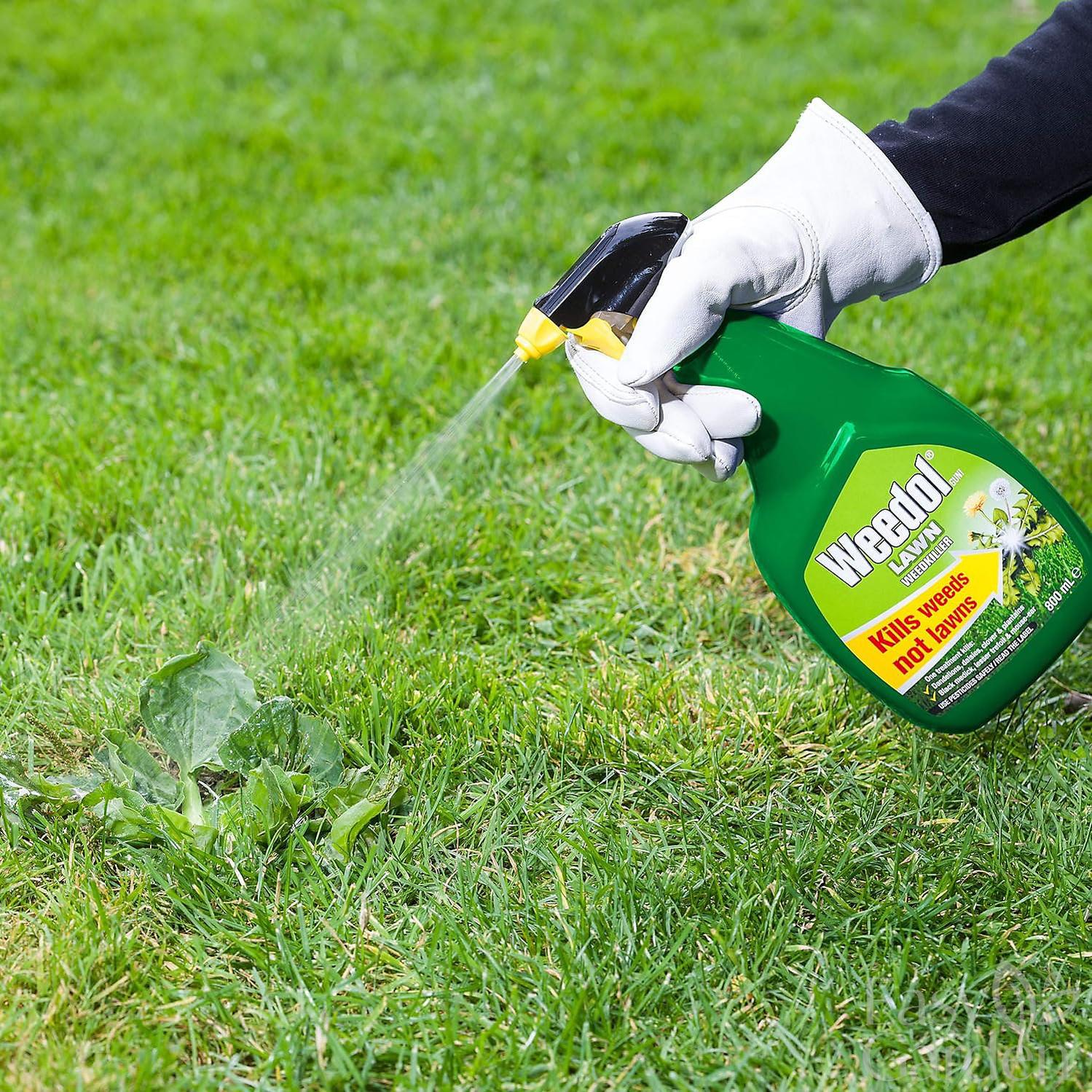 Weedol Lawn Weedkiller Gun 800Ml-Easy Garden Centre