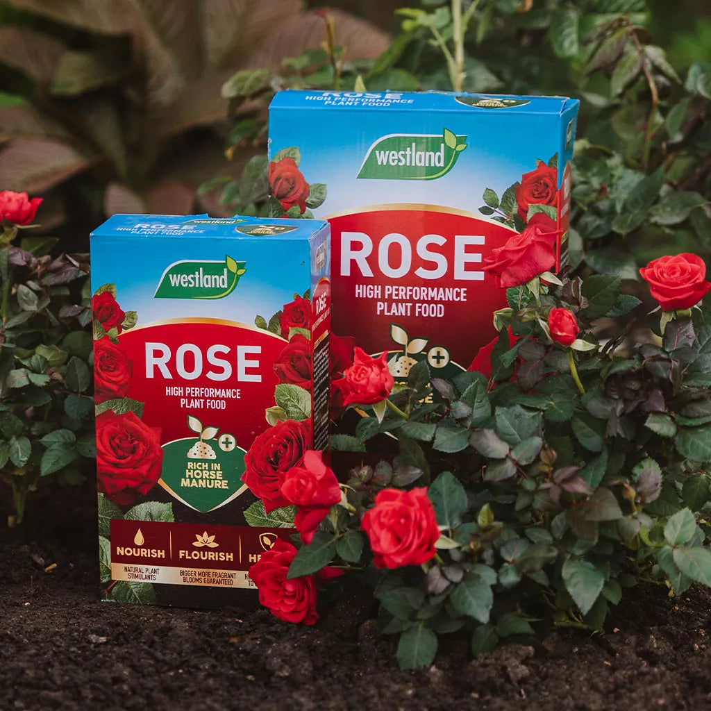 Rose Food Enriched Horse Manure 3kg