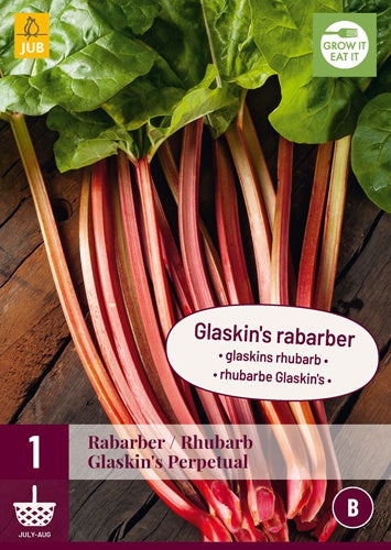 1 Rhubarb Glaskin'S Perpetual