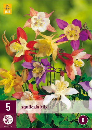 5 AQUILEGIA MIX