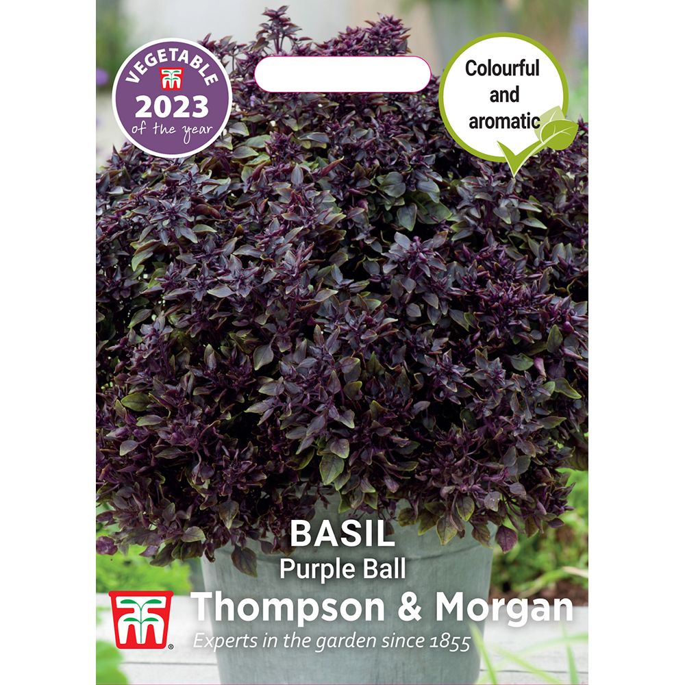 Herb Basil Purple Ball VOTY-Easy Garden Centre