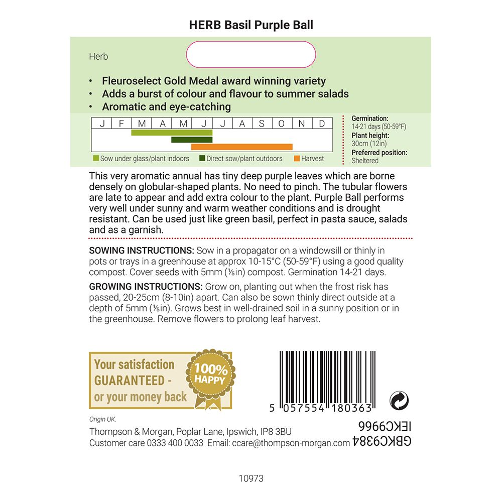 Herb Basil Purple Ball VOTY-Easy Garden Centre