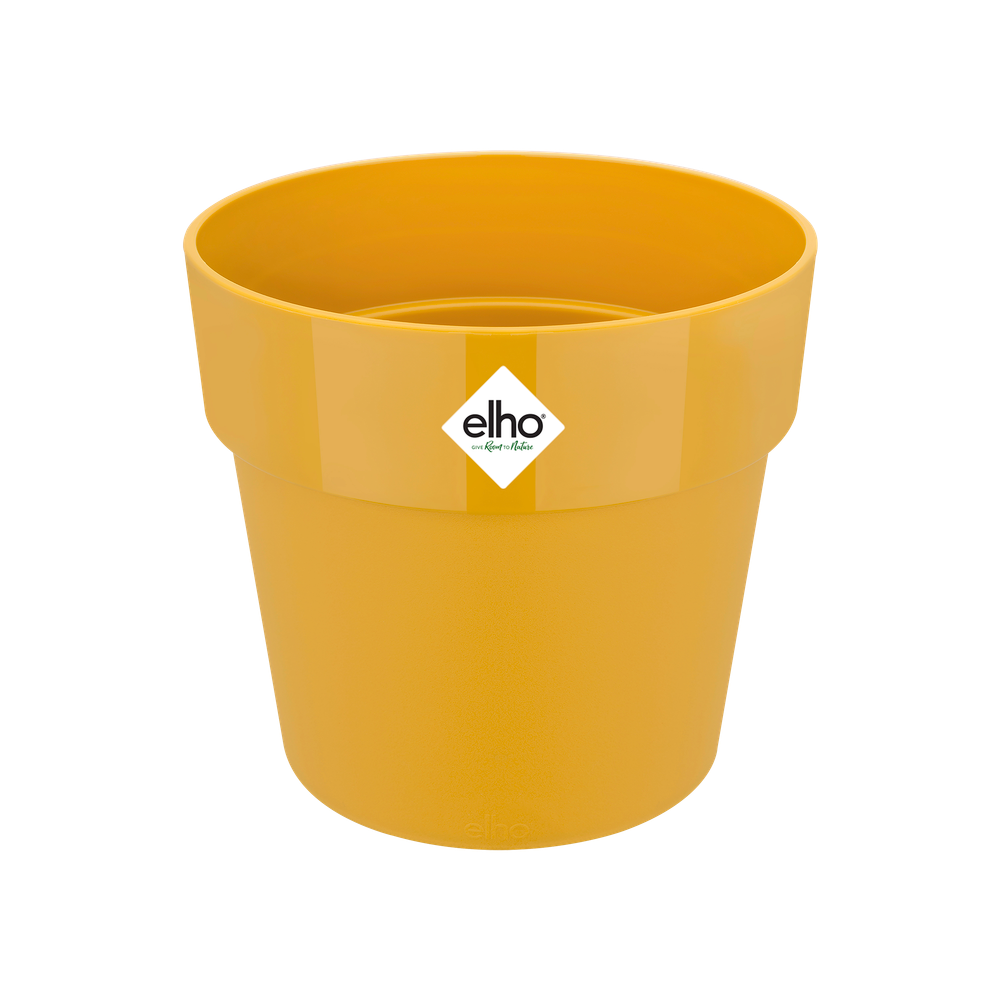 B.for Original Round 14 Yellow