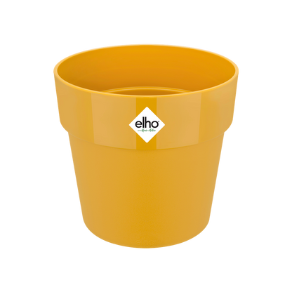 B.for Original Round 14 Yellow