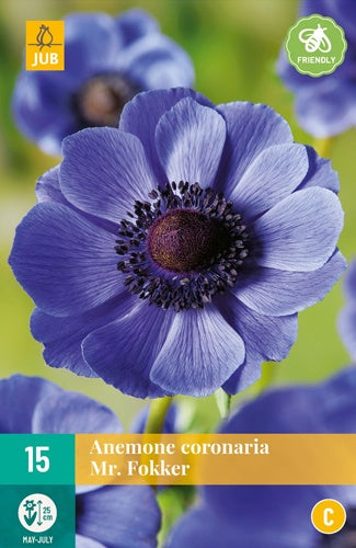 15 Anemone Cor. Mr. Fokker