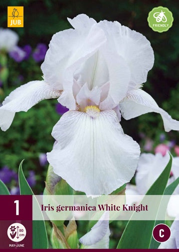 1 IRIS GERMANICA WHITE KNIGHT