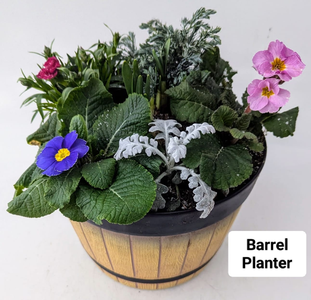 Barrel Planter 25cm