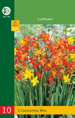 10 Crocosmia Mix