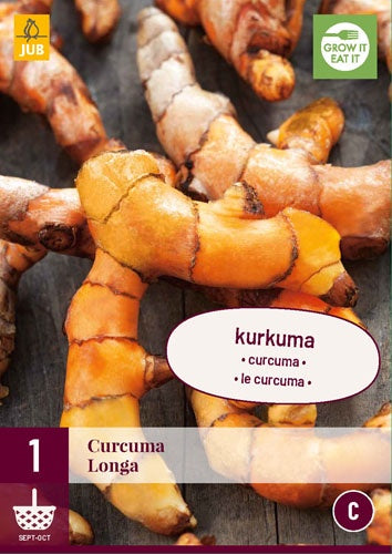 1 Tumeric (Curcuma Longa)