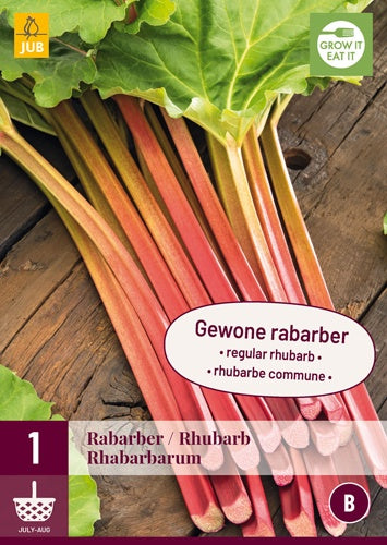 1 Rhubarb Rhabarbarum