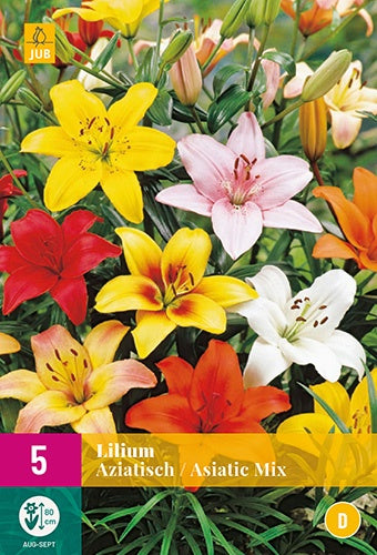 5 Lilium Asiatic Mix