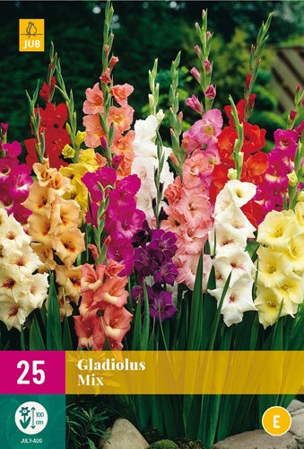 25 Gladiolus Mix