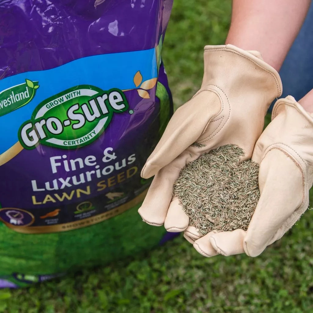 Gro-Sure Fine & Luxurious Lawn Seed 100m2 Bag