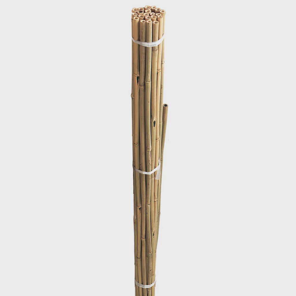 GI Bamboo Canes Bulk Bundle 120cm 4' 20pk