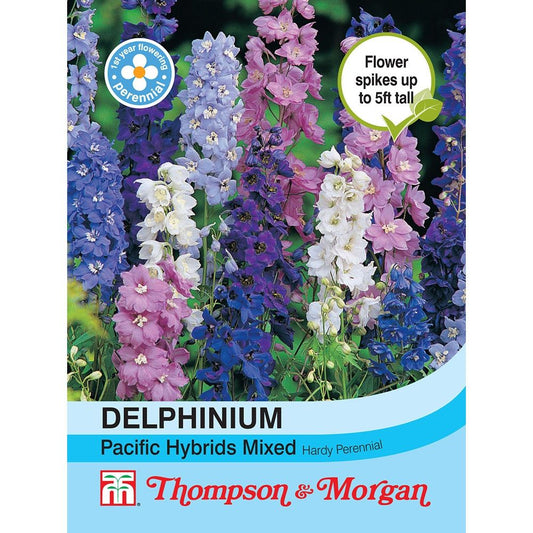 Delphinium Pacific Hybrids Mixed-Easy Garden Centre