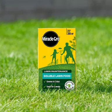 Miracle Gro Lawn Food 1Kg