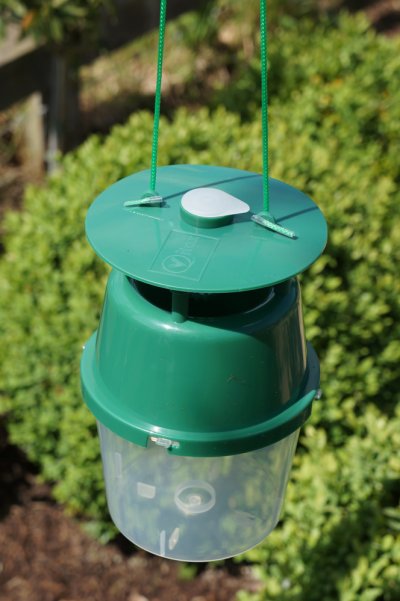 BOX TREE MOTH TRAP (1 trap)