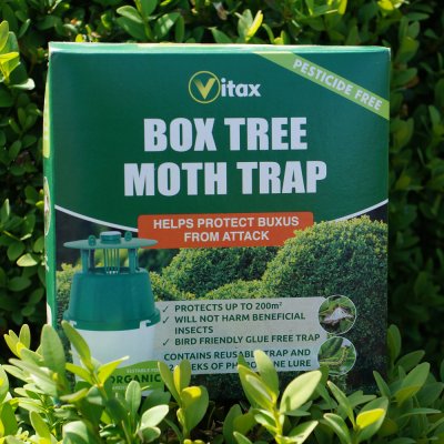BOX TREE MOTH TRAP (1 trap)