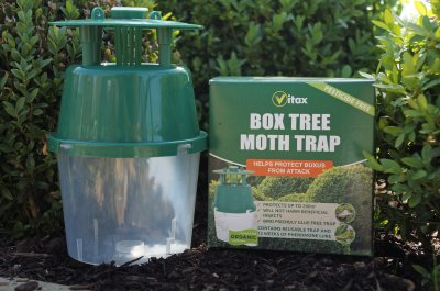 BOX TREE MOTH TRAP (1 trap)
