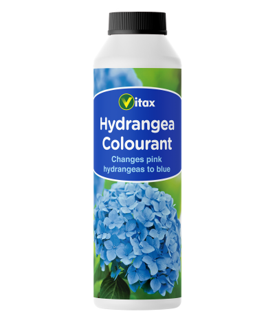 HYDRANGEA COLOURANT  250g