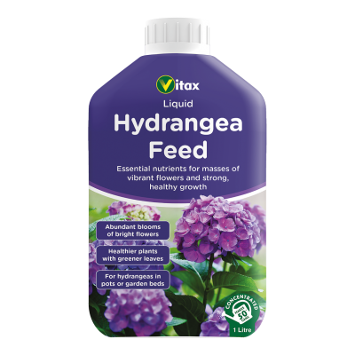 Hydrangea Feed Liquid 1Ltr